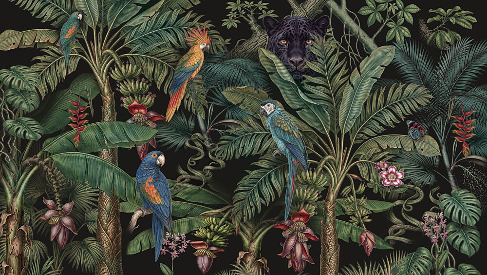 Exotic Jungle Wildlife art print by Dan Hobday for $57.95 CAD