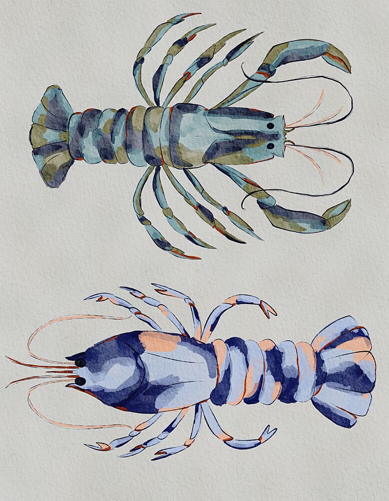 Blue Lobsters Watercolor art print by Nikita Jariwala for $57.95 CAD