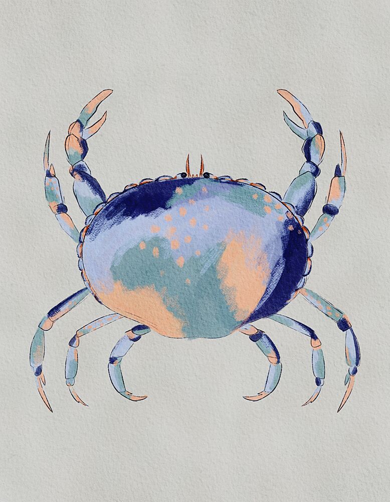Serene Blue Crab art print by Nikita Jariwala for $57.95 CAD
