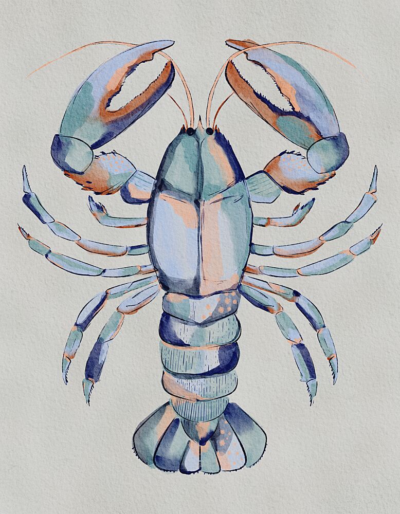 Watercolor Blue Lobster art print by Nikita Jariwala for $57.95 CAD