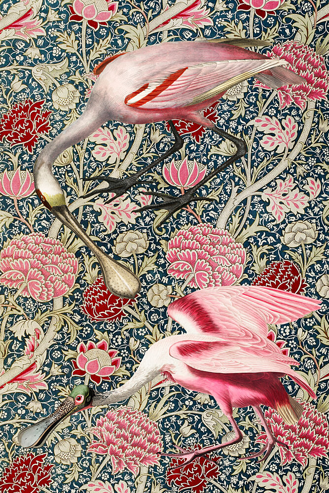 Roseate Spoonbills Botanical art print by Marja van den Hurk for $57.95 CAD