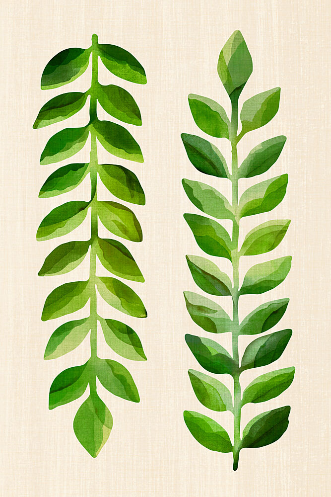 Fresh Green Leaves art print by Kristian Gallagher for $57.95 CAD