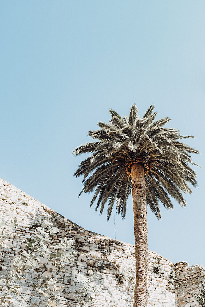 Sunny Palm and Stone art print by Aimee Giles for $57.95 CAD