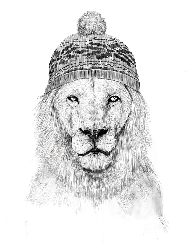 Cool Lion Beanie art print by Balazs Solti for $57.95 CAD