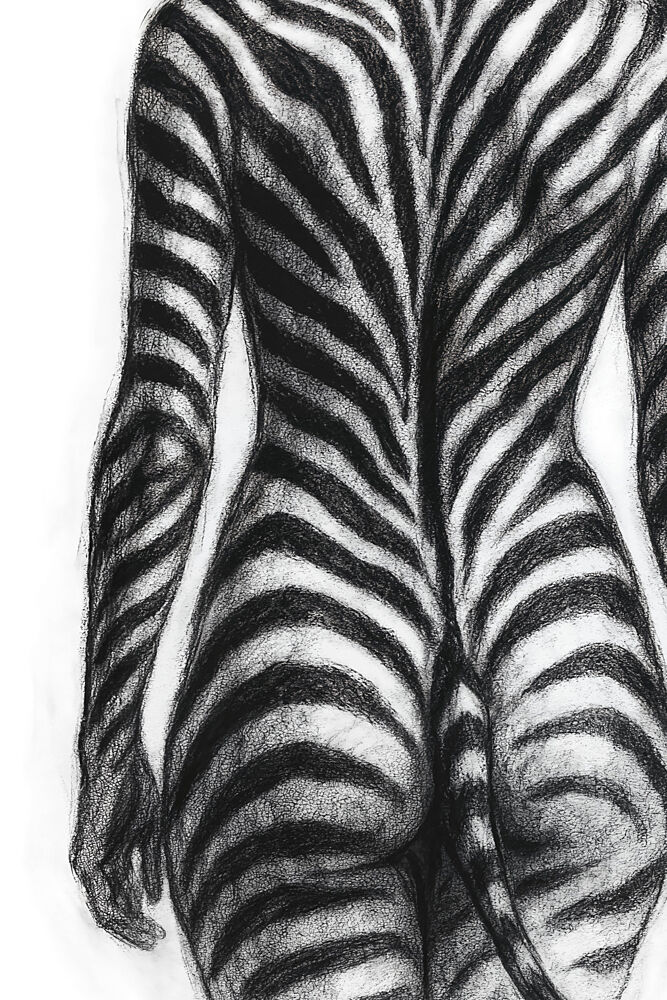 Zebra Striped Form art print by Natalie Bruns for $57.95 CAD