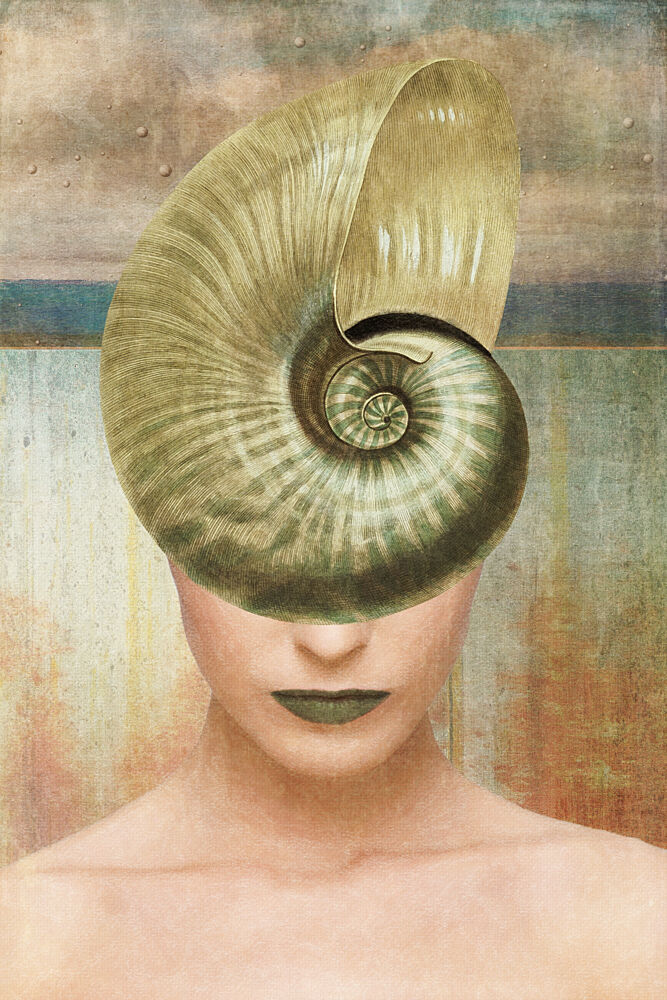 Nautilus Shell Portrait art print by Marja van den Hurk for $57.95 CAD