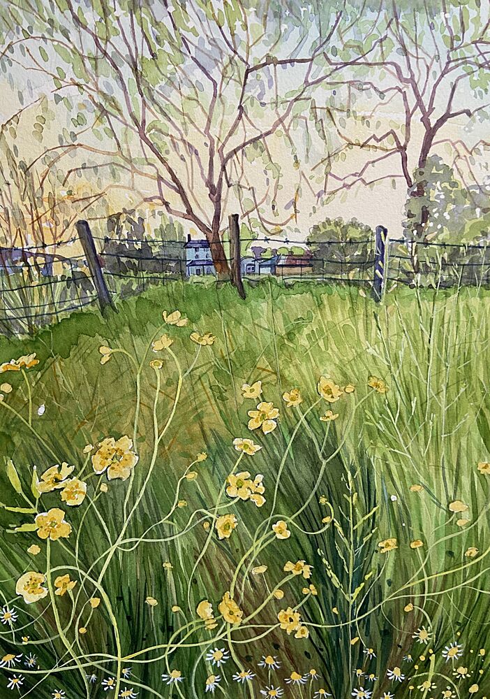 Meadow Flowers and Fence art print by Luisa Millicent for $57.95 CAD