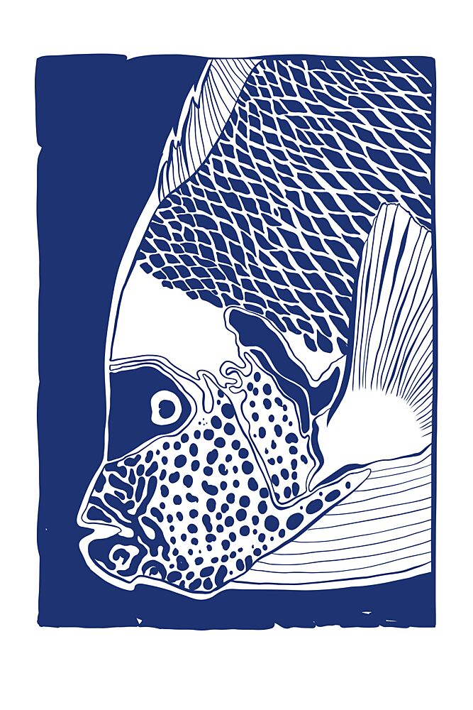 le Poisson01 art print by Marianne Bassil for $57.95 CAD