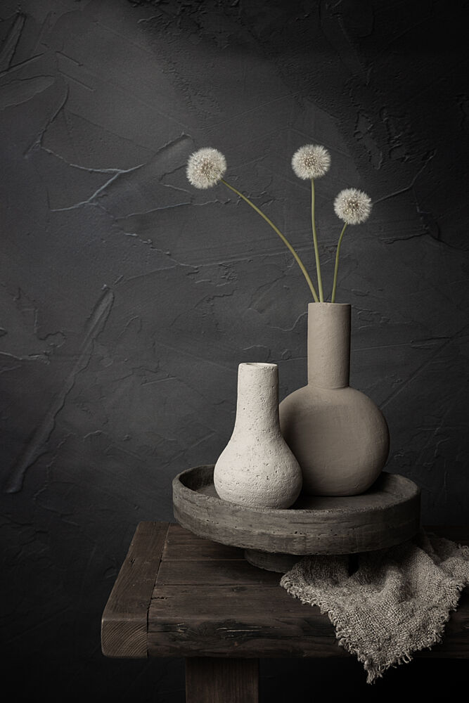 Earthy Dandelion Vases art print by Mayra Pama for $57.95 CAD