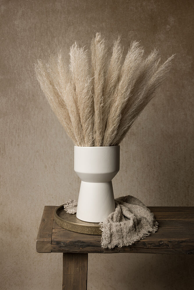 Modern Pampas Still Life art print by Mayra Pama for $57.95 CAD