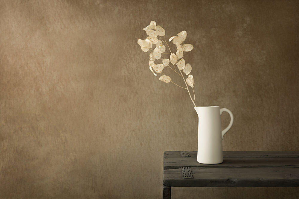 White Pitcher Dried Plant art print by Mayra Pama for $57.95 CAD