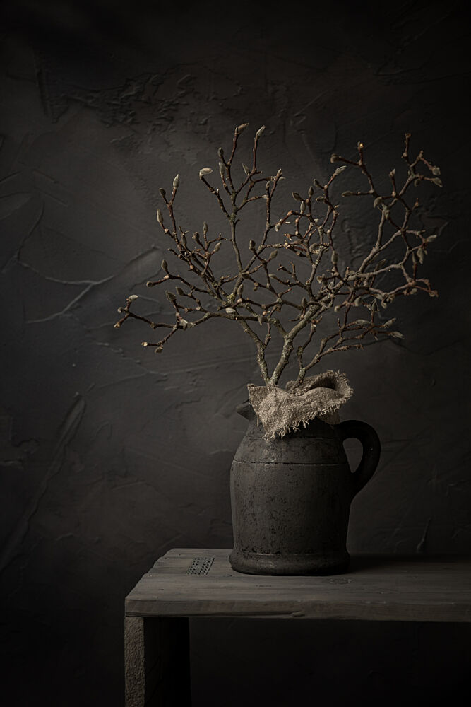 Rustic Branch Still Life art print by Mayra Pama for $57.95 CAD