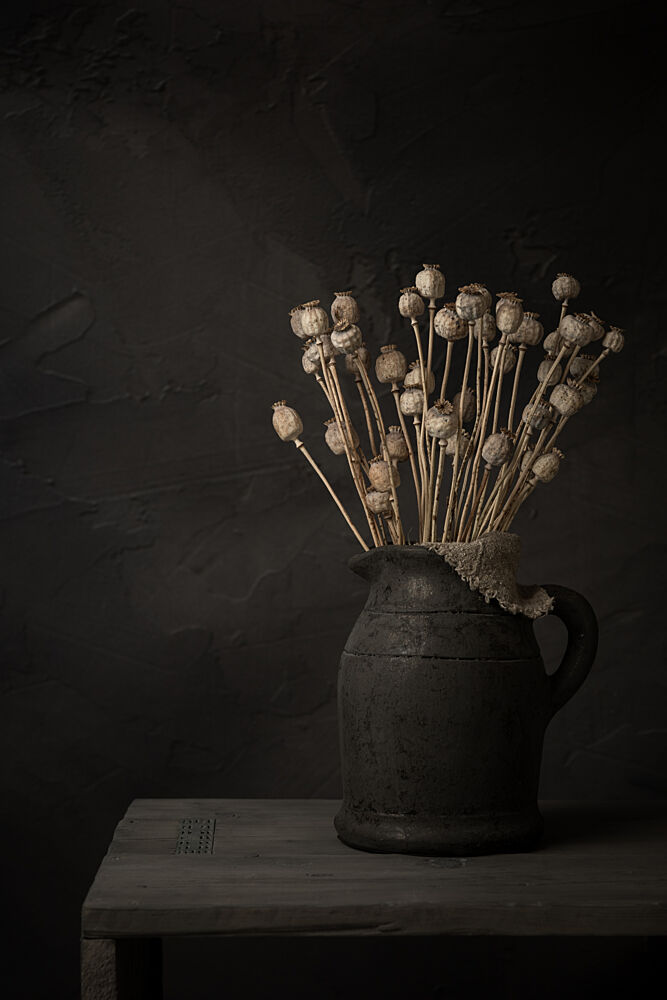 Moody Dried Poppy Pods art print by Mayra Pama for $57.95 CAD