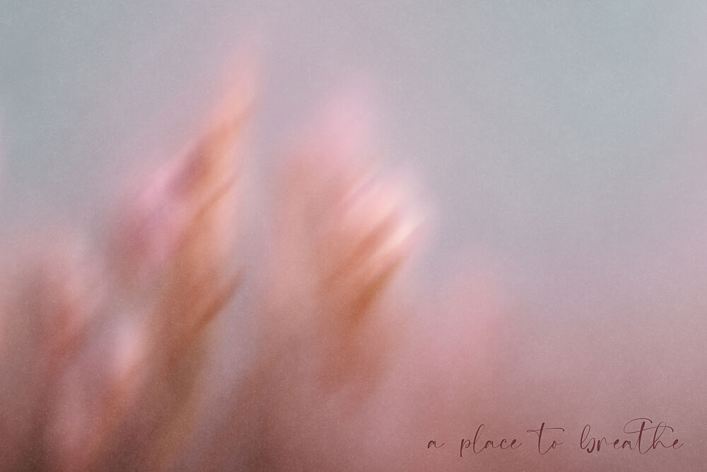 Soft Pink Dream art print by Treechild for $57.95 CAD