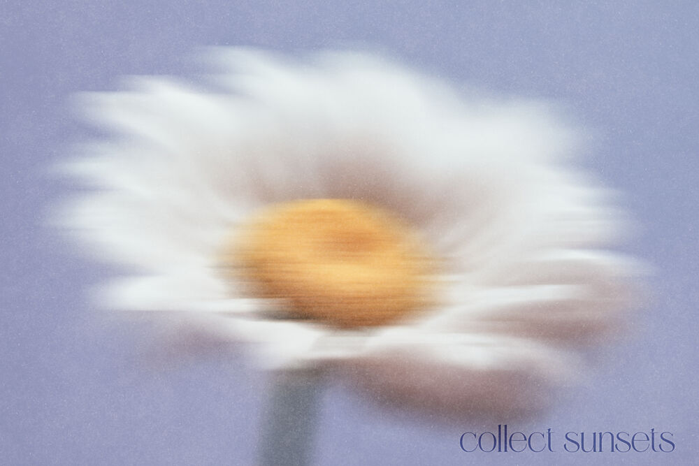 Dreamy White Bloom art print by Treechild for $57.95 CAD
