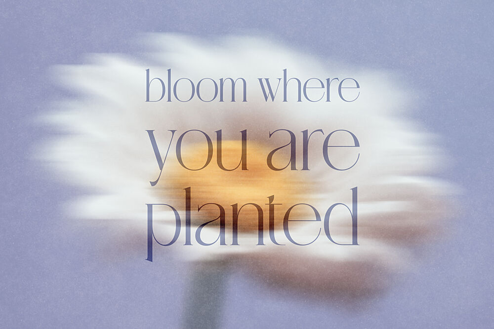 Bloom Where Planted art print by Treechild for $57.95 CAD