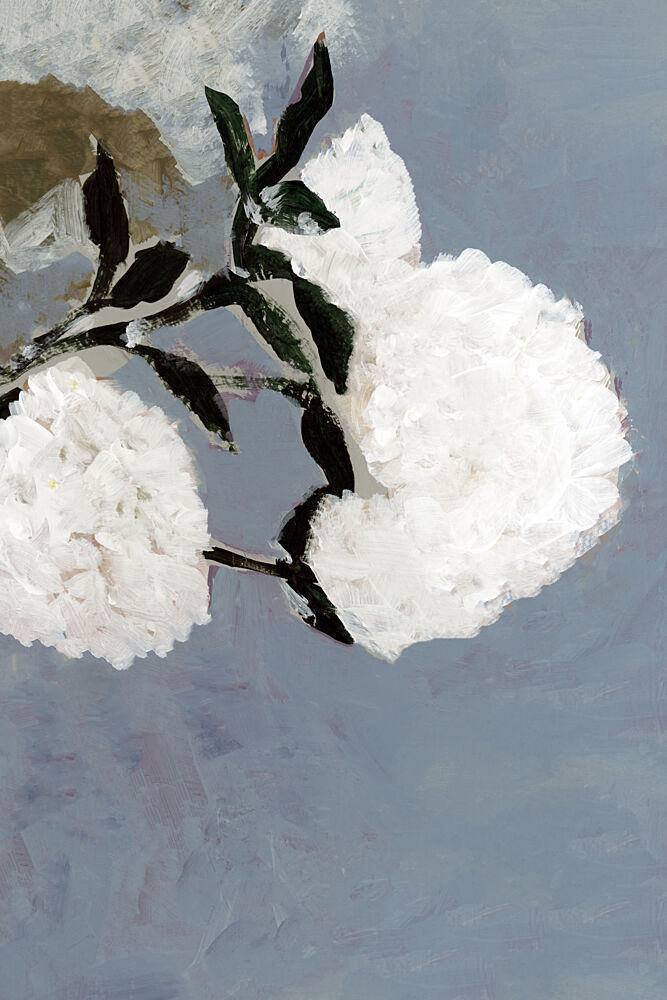 Soft White Blooms art print by Cartissi for $57.95 CAD