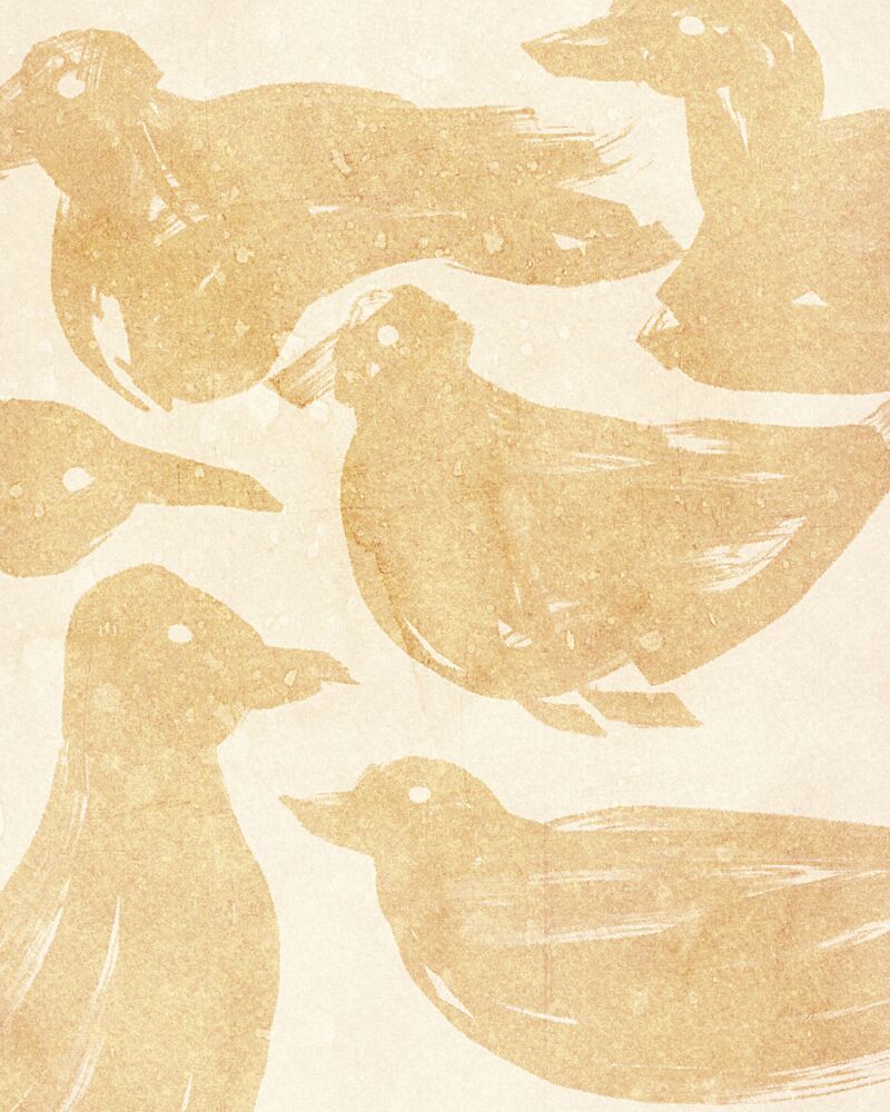 Rustic Duck Sketches art print by Josie George for $57.95 CAD