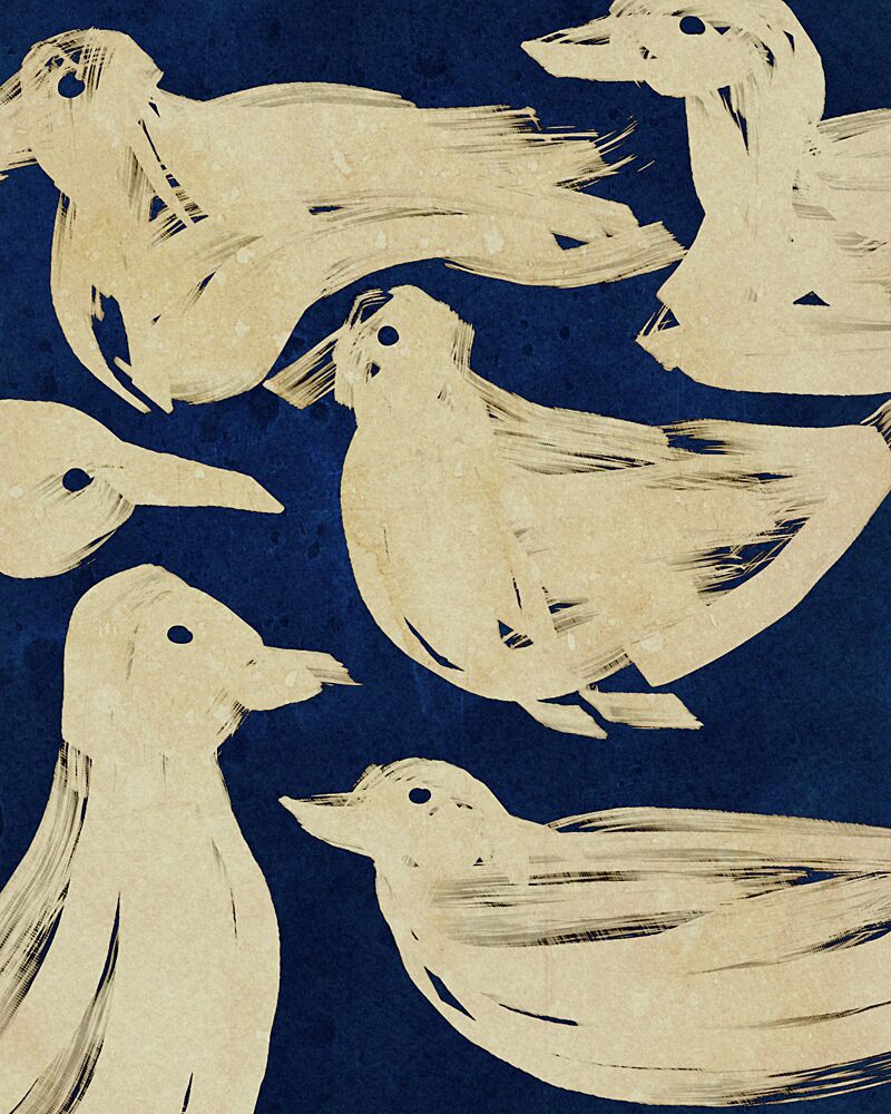 Swimming White Ducks art print by Josie George for $57.95 CAD