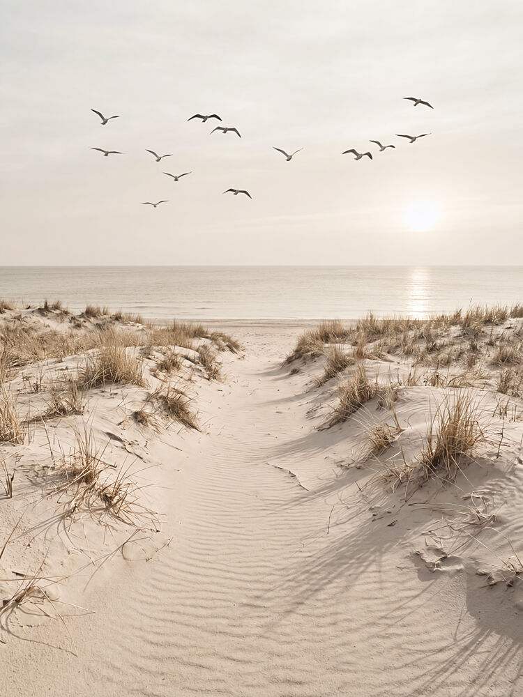 Peaceful Sandy Path art print by Andreas Magnusson for $57.95 CAD