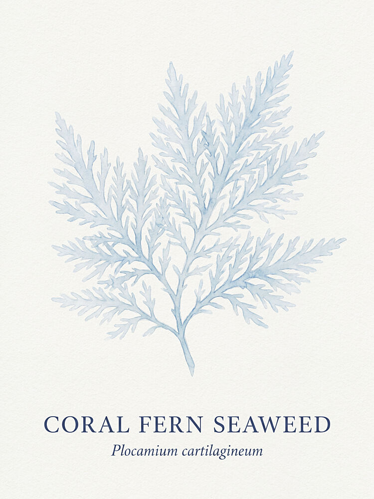 Blue Coral Fern art print by Andreas Magnusson for $57.95 CAD
