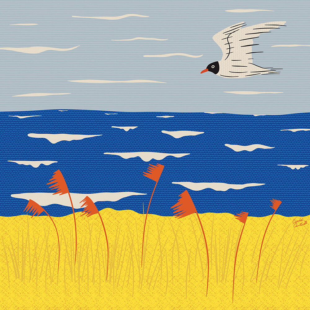 Coastal Breeze Seagull art print by Carrie Cantwell for $57.95 CAD
