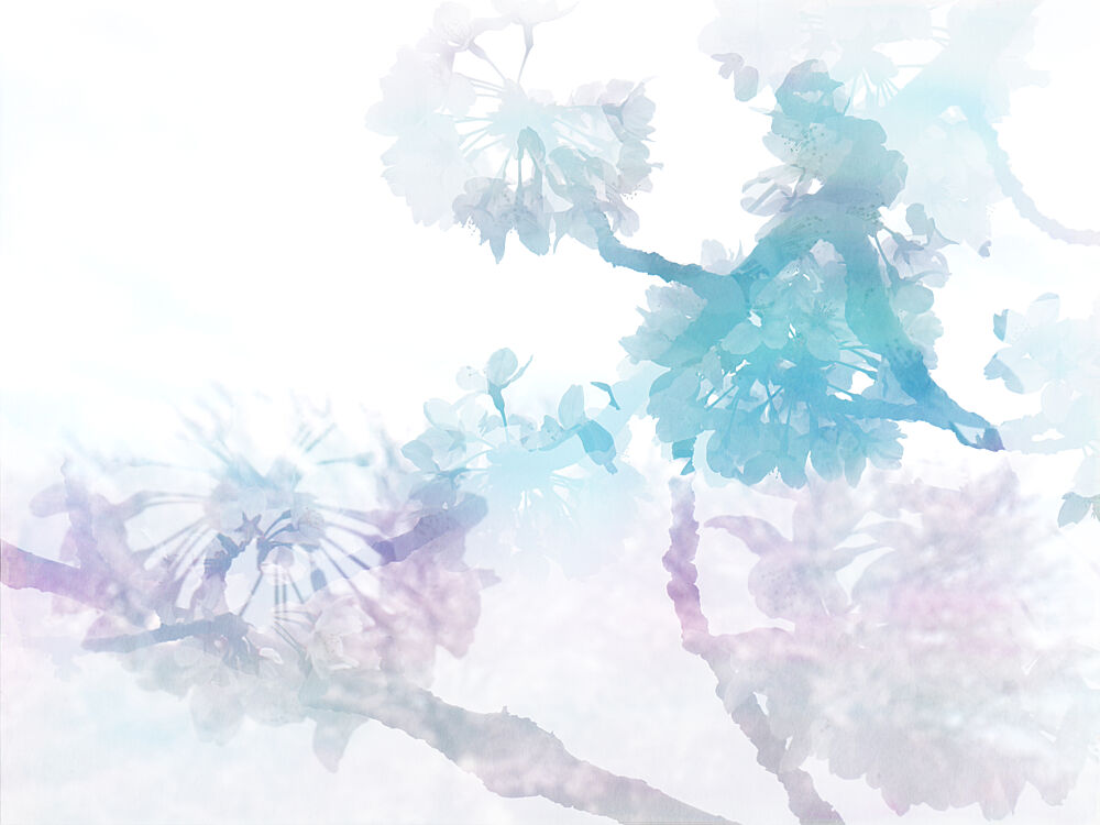 Dreamy Cherry Blossoms art print by Danushka Abeygoda for $57.95 CAD
