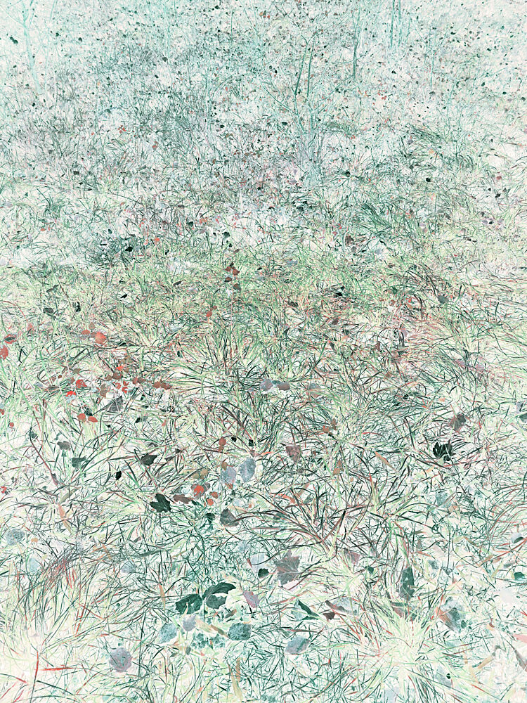 Ethereal Grass Texture art print by Angelo Cerantola for $57.95 CAD