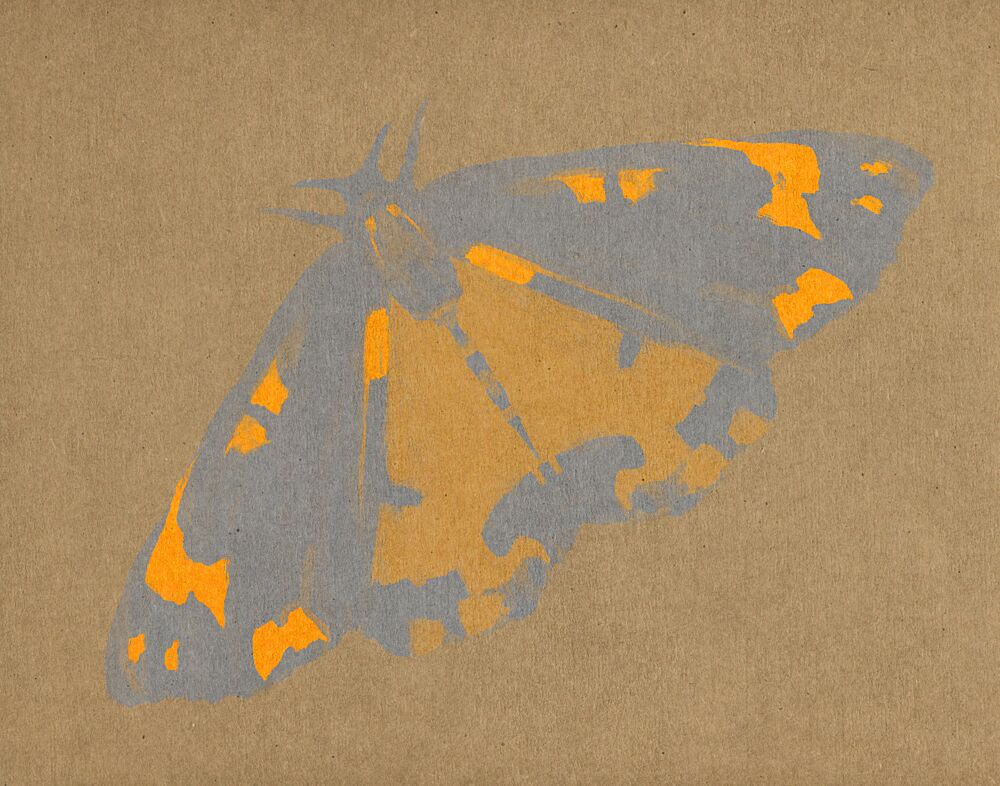 Stylized Orange Butterfly art print by Josie George for $57.95 CAD