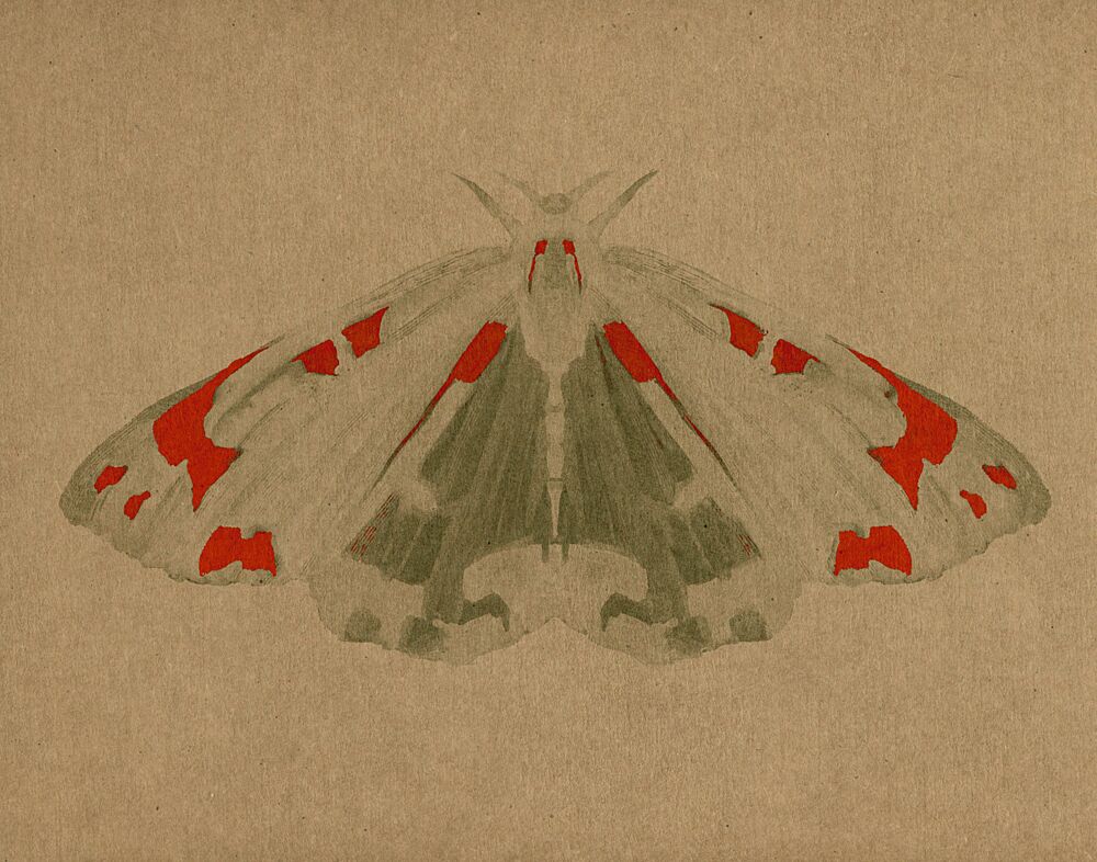 Elegant Red Moth art print by Josie George for $57.95 CAD