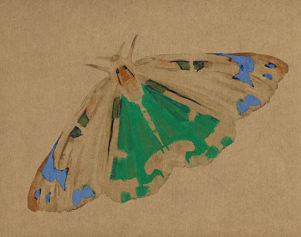 Delicate Green Moth art print by Josie George for $57.95 CAD