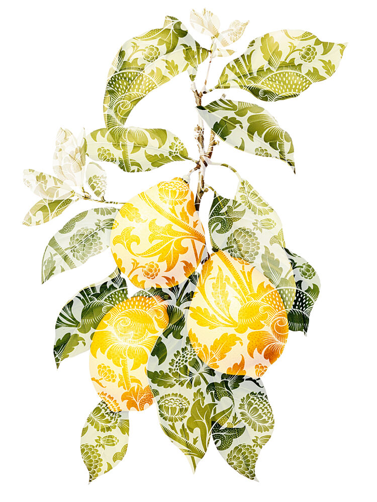 Elegant Patterned Lemons art print by Marja van den Hurk for $57.95 CAD