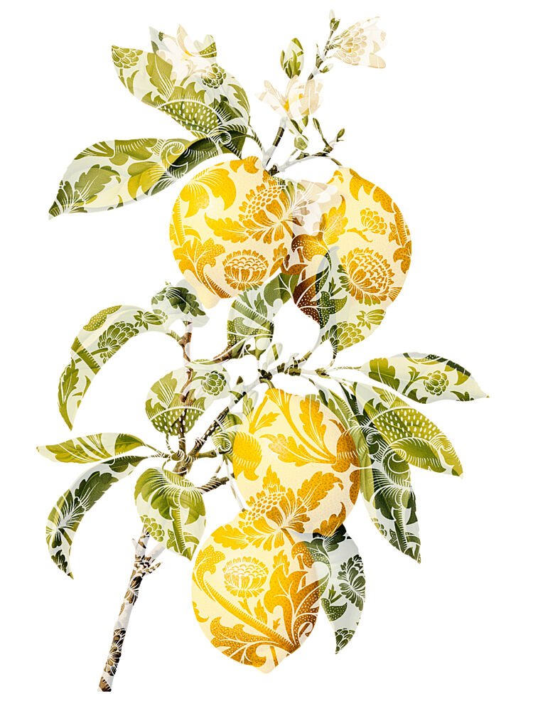 Golden Patterned Lemons art print by Marja van den Hurk for $57.95 CAD