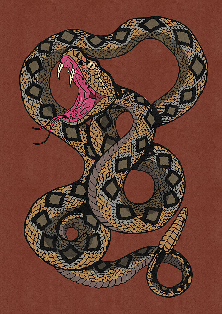 Striking Rattlesnake art print by Nicholas for $57.95 CAD