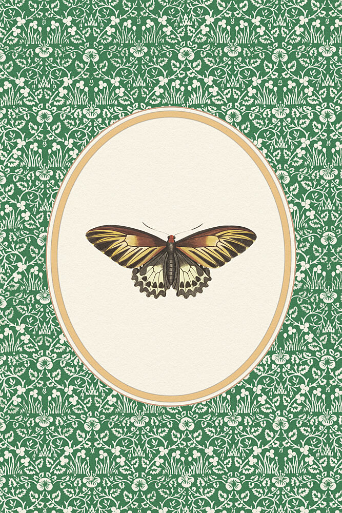 Green Botanical Butterfly art print by Wild Violets for $57.95 CAD