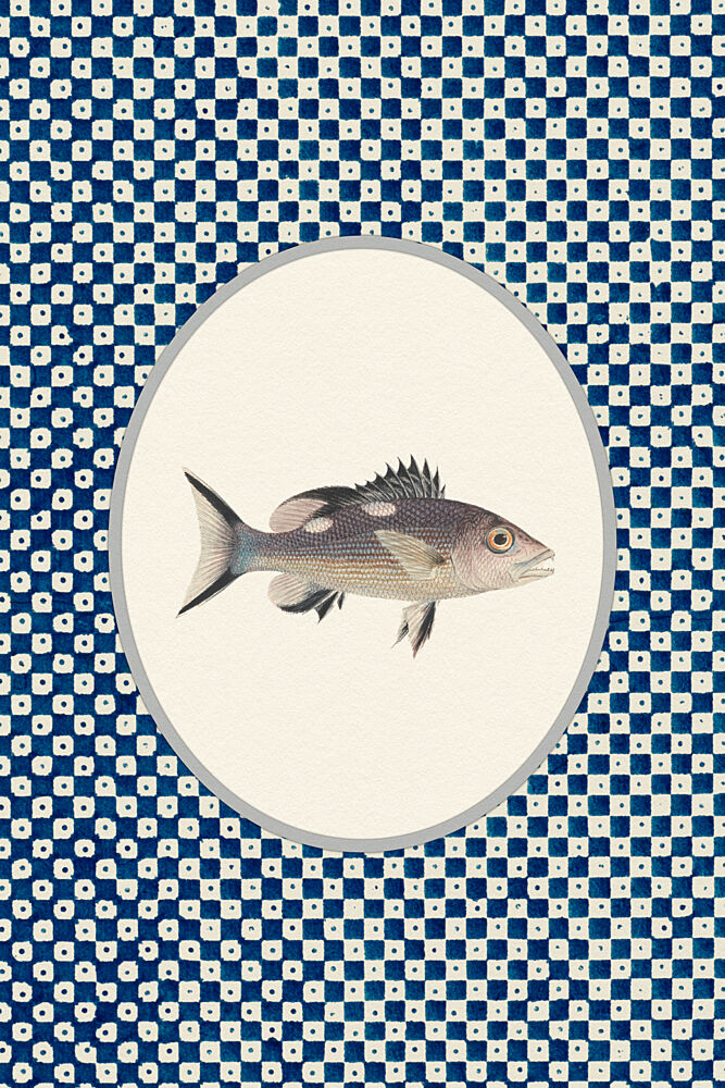Blue Patterned Fish art print by Wild Violets for $57.95 CAD