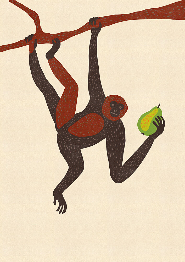 Hanging Monkey Holding Pear art print by Nicholas for $57.95 CAD