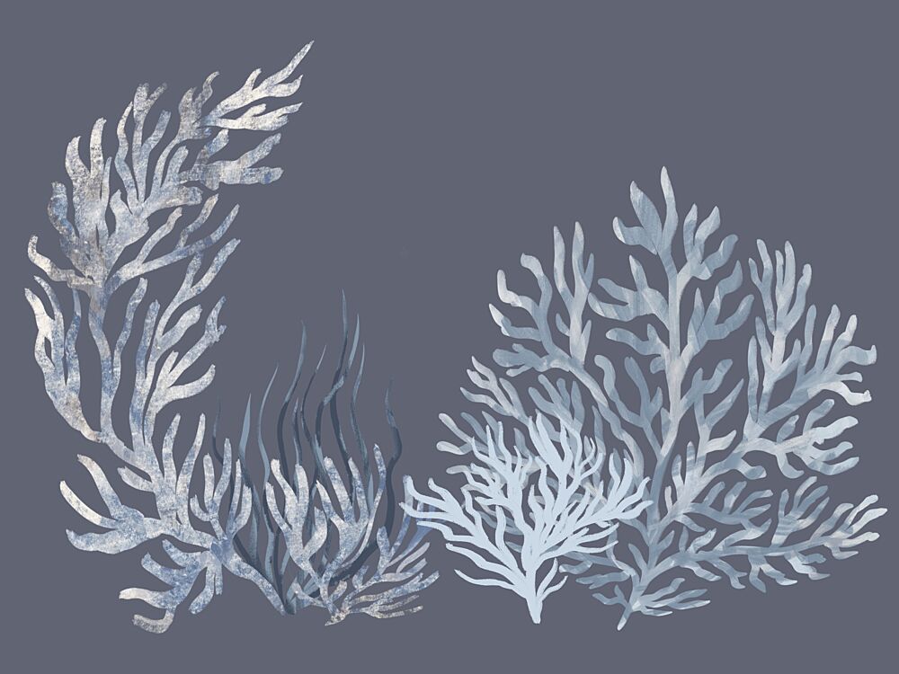 Underwater Blue Coral art print by Aliya Putrus for $57.95 CAD