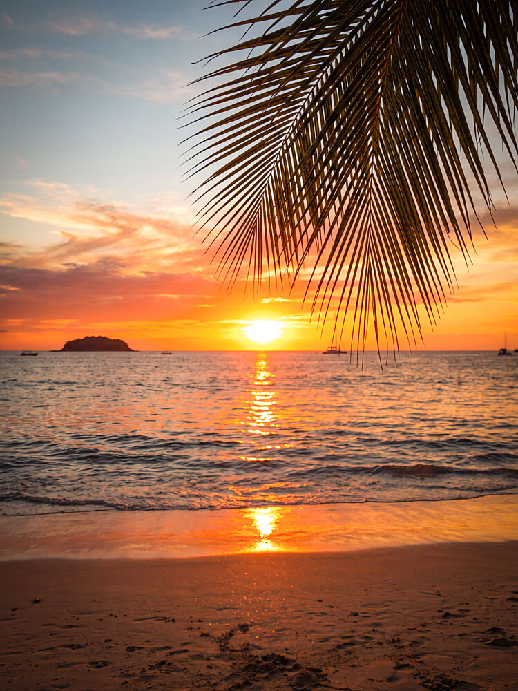 Tropical Beach Sunset art print by Andreas Magnusson for $57.95 CAD