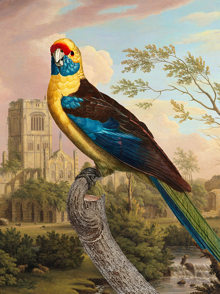 Colorful Parrot Ruins art print by Marja van den Hurk for $57.95 CAD