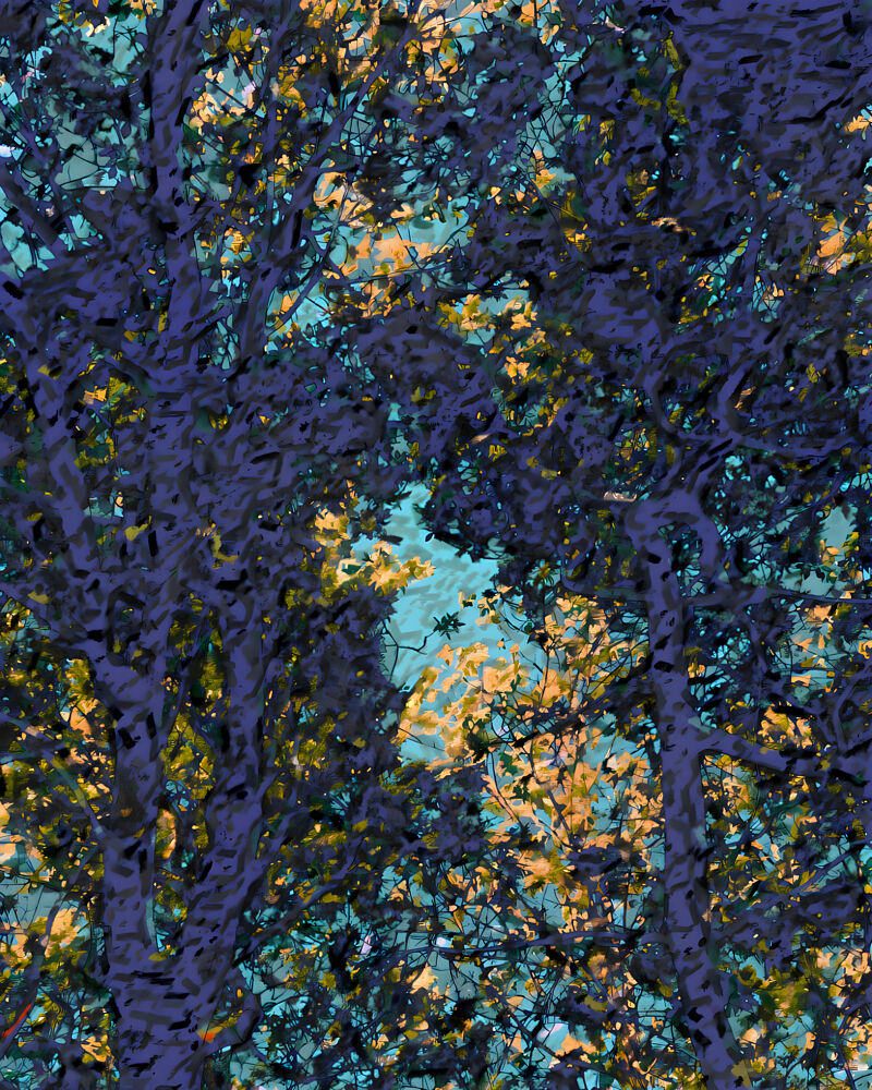 Vibrant Forest Canopy art print by Uma Gokhale for $57.95 CAD
