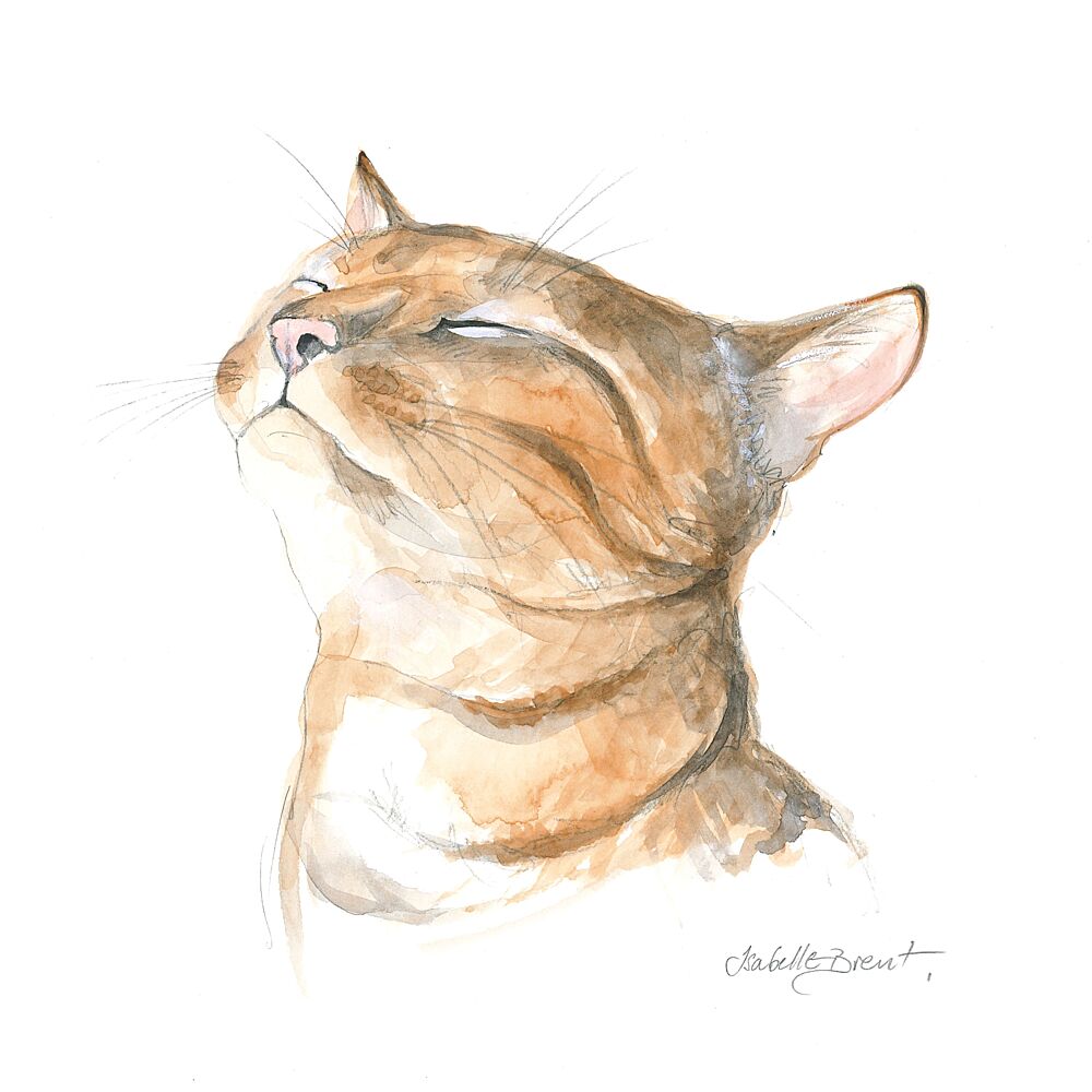 Serene Tabby Cat art print by Isabelle Brent for $57.95 CAD