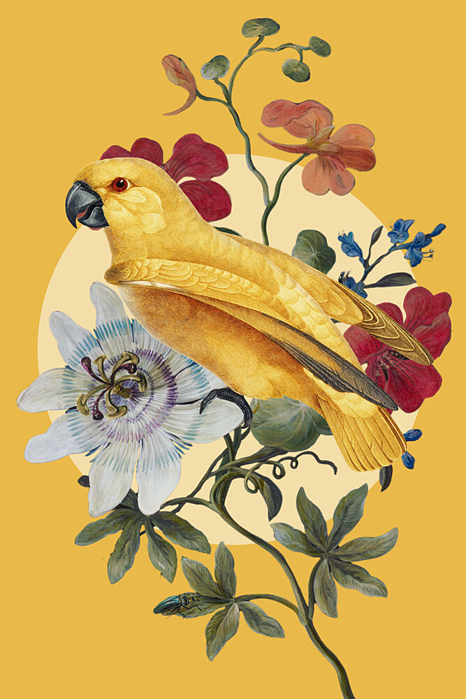 Golden Parrot Passion Flower art print by Marja van den Hurk for $57.95 CAD