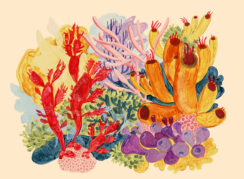 Vibrant Coral Reef art print by Catalina Somolinos for $57.95 CAD