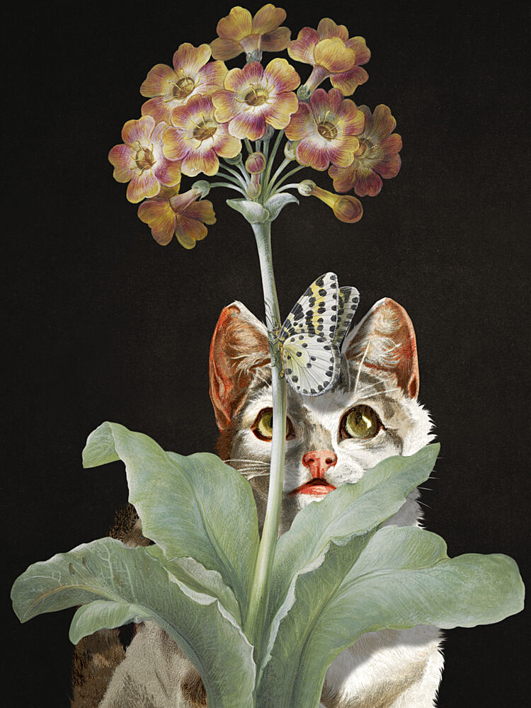Feline Focus art print by Marja van den Hurk for $57.95 CAD