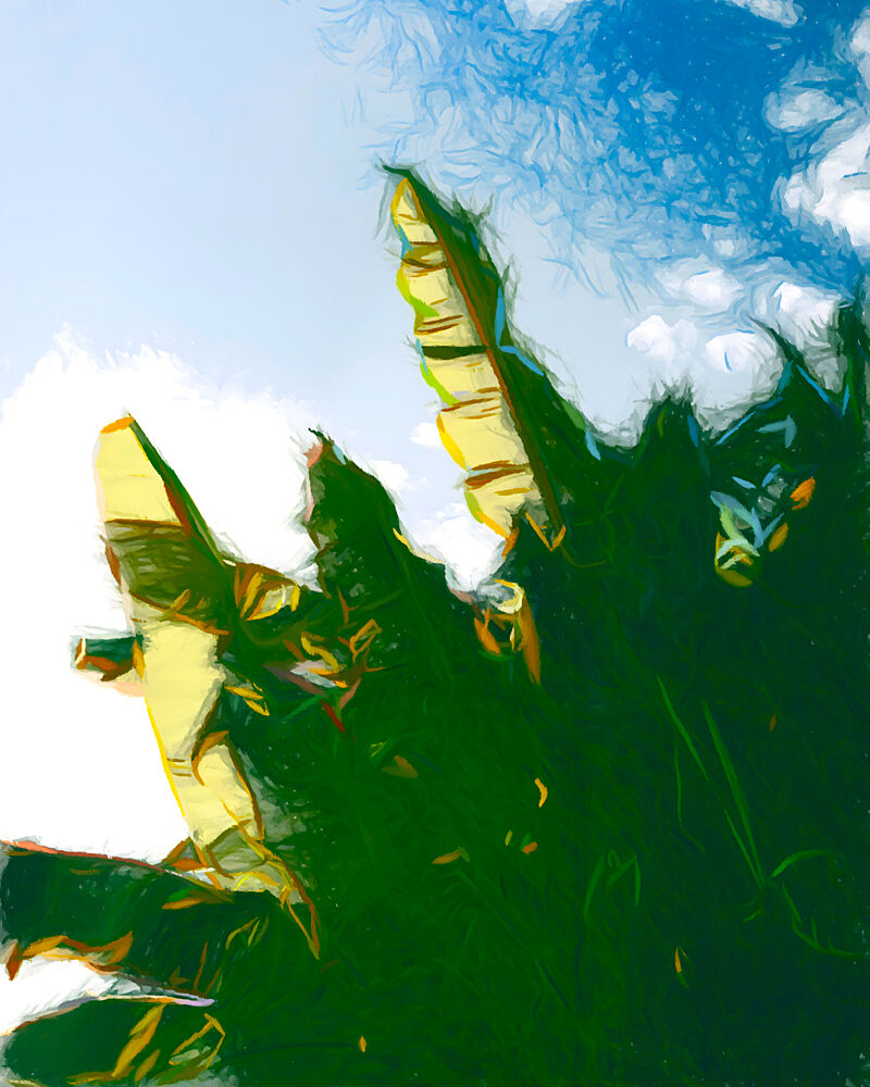 Green Leaves Bright Sky art print by Uma Gokhale for $57.95 CAD