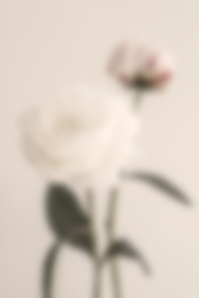 Soft Focus Flowers art print by Pictufy Studio III for $57.95 CAD