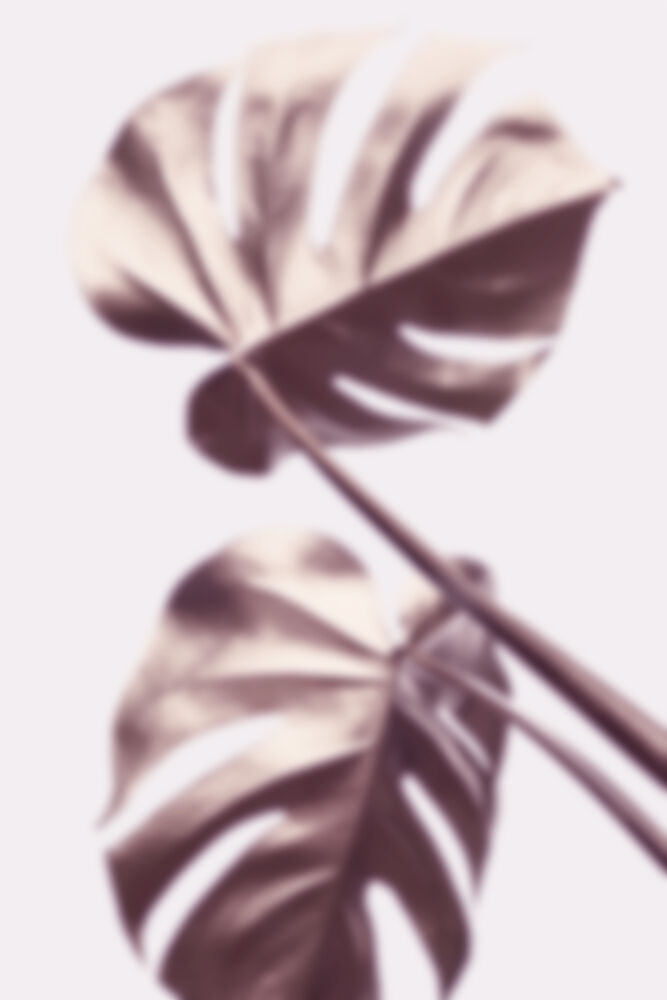 Soft Monstera Shadow art print by Pictufy Studio III for $57.95 CAD