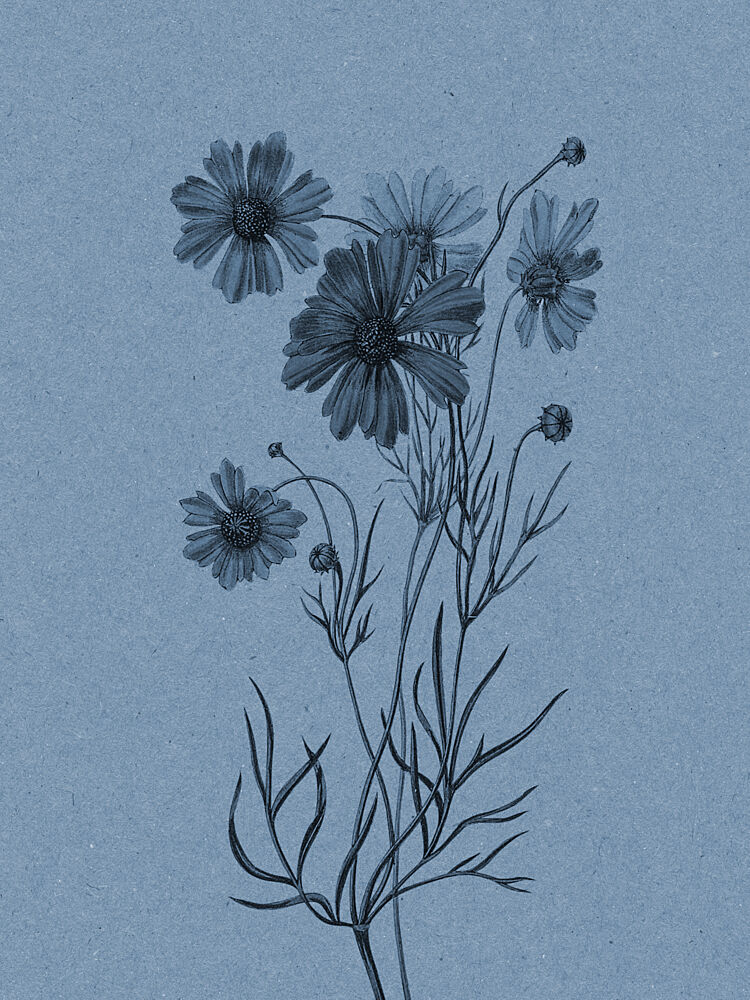 Bo0092 art print by Wild Violets for $57.95 CAD