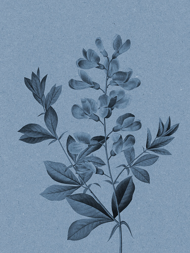 Elegant Blue Botanical art print by Wild Violets for $57.95 CAD